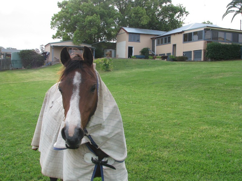 58 Single Ridge Road, Kurrajong NSW 2758