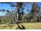 Putty NSW 2330