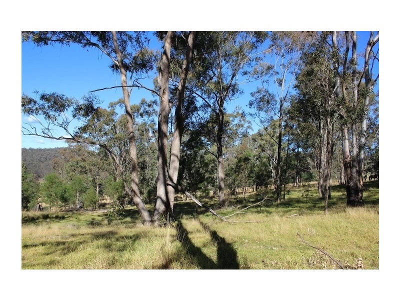 Putty NSW 2330