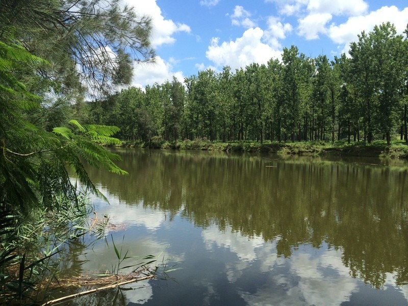 Lower Macdonald NSW 2775