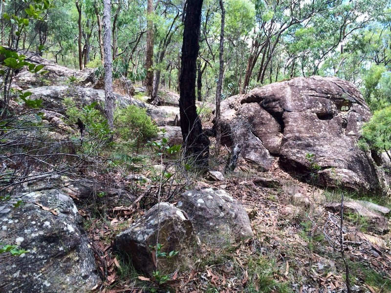 Lower Macdonald NSW 2775