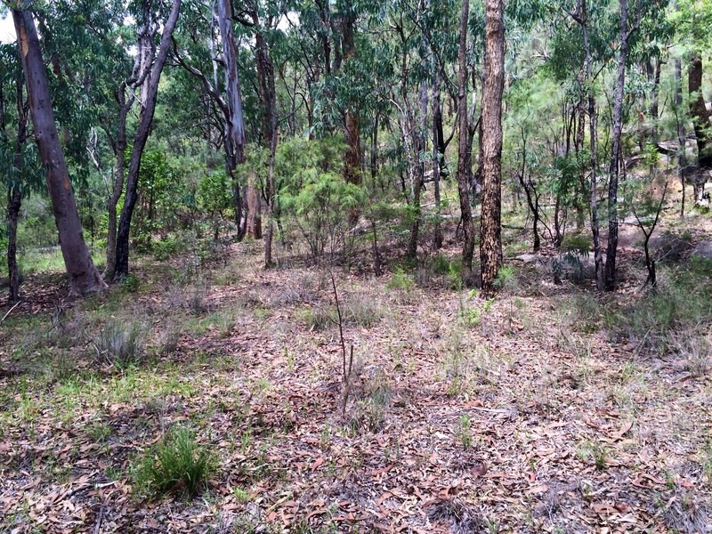 Lower Macdonald NSW 2775