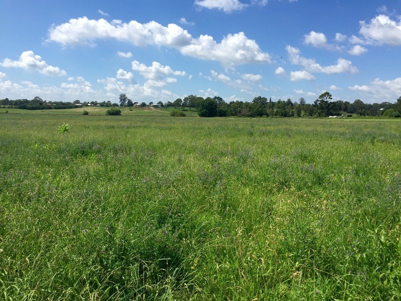 933 and 932 Springwood Rd, Agnes Banks NSW 2753