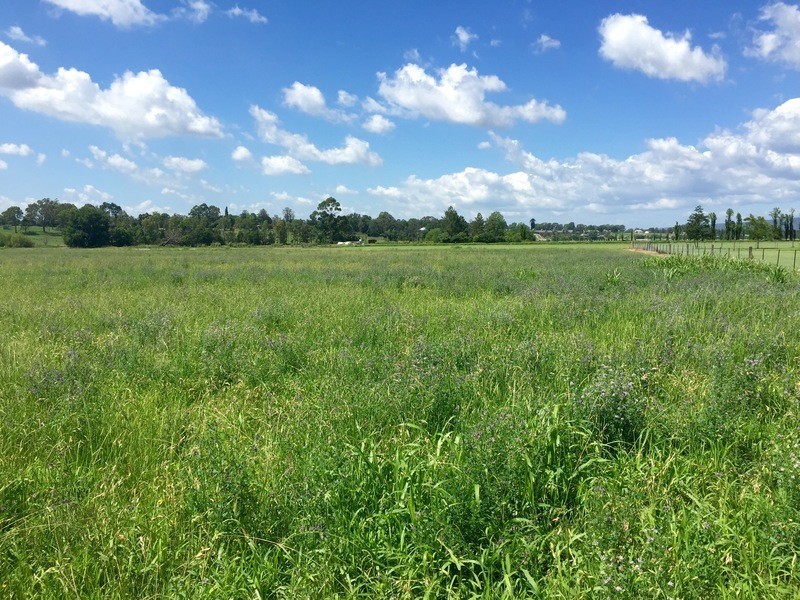 933 and 932 Springwood Rd, Agnes Banks NSW 2753