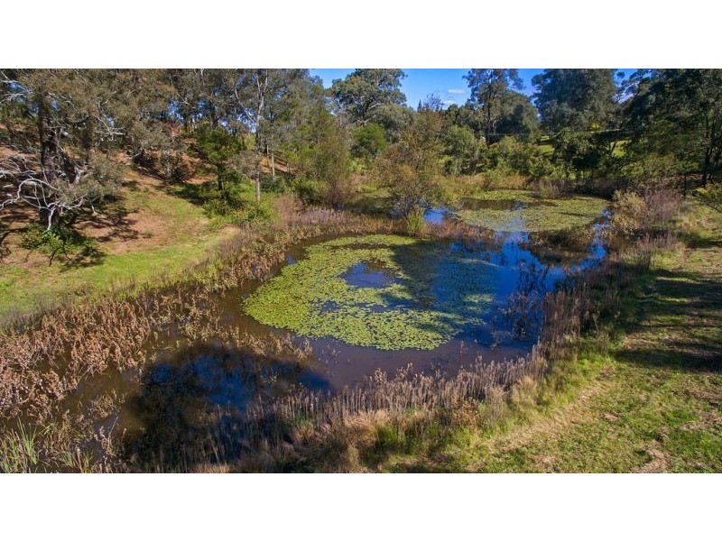 157 Terrace Road, North Richmond NSW 2754