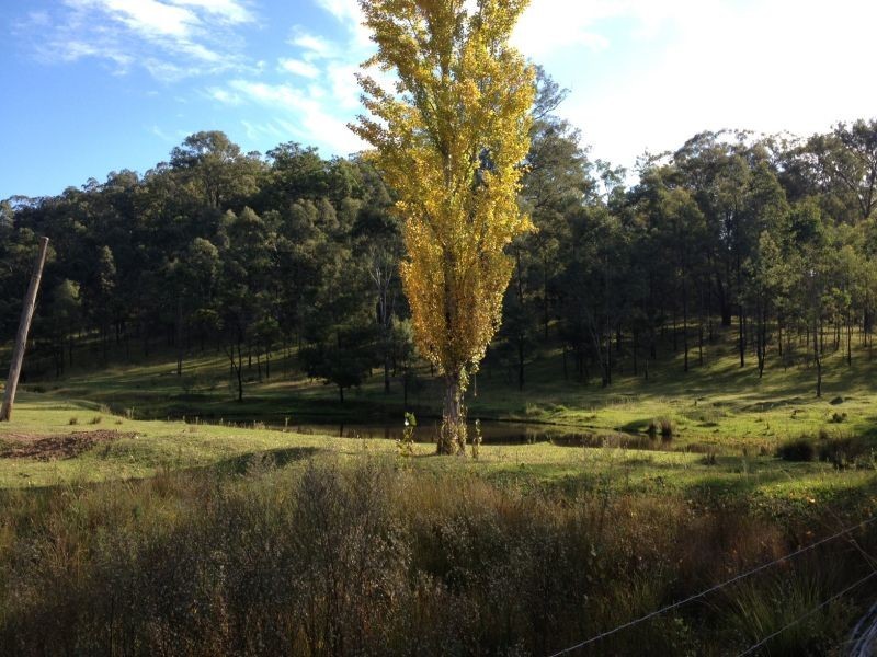 Garland Valley NSW 2330