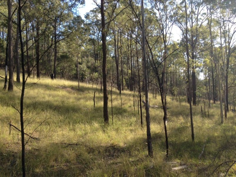 Garland Valley NSW 2330