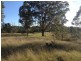Garland Valley NSW 2330