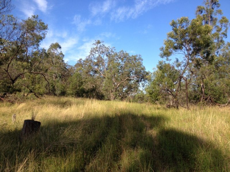 Garland Valley NSW 2330