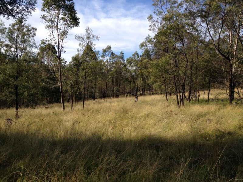 Garland Valley NSW 2330