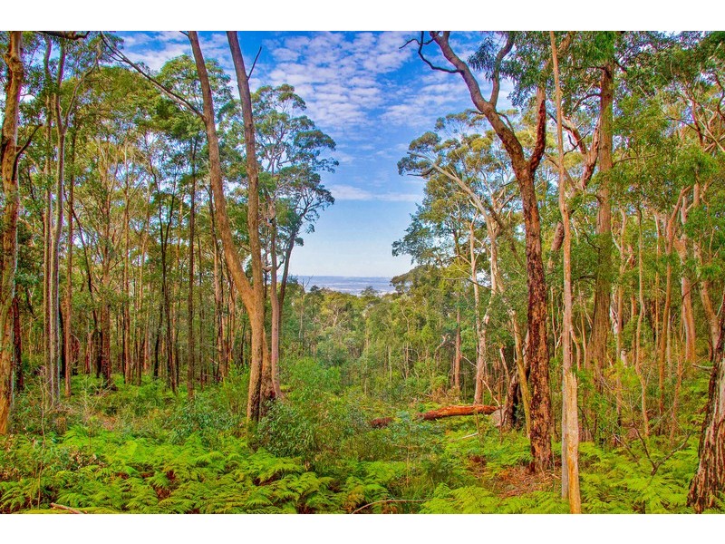 Kurrajong Heights NSW 2758