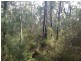 Kurrajong NSW 2758