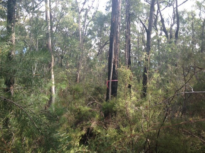 Kurrajong NSW 2758