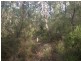 Kurrajong NSW 2758