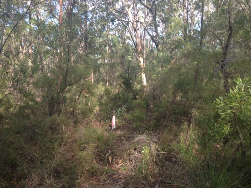 Kurrajong NSW 2758