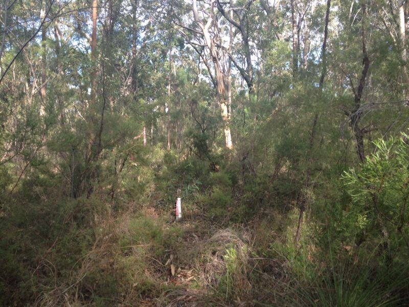 Kurrajong NSW 2758