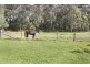 Wilberforce NSW 2756