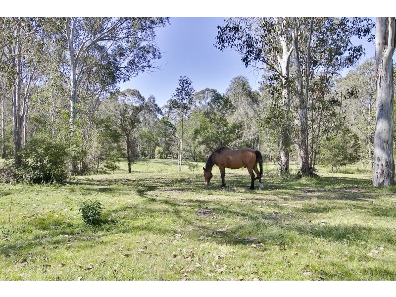 81 Reedy Road, Maraylya NSW 2765