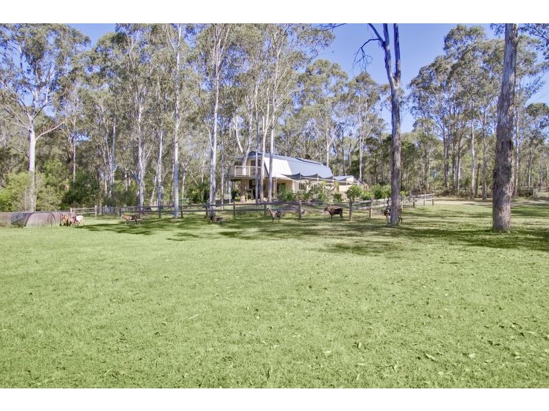 81 Reedy Road, Maraylya NSW 2765