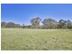 164 Carrs Road, Wilberforce NSW 2756