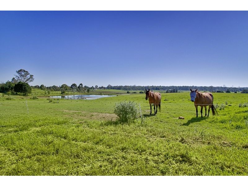 138 Pitt Town Road, Mcgraths Hill NSW 2756