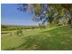 778 Grose Vale Road, Grose Vale NSW 2753