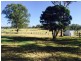 201  Stannix Park Road, Wilberforce NSW 2756