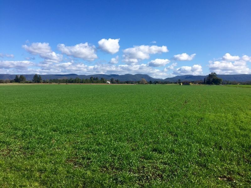 Agnes Banks NSW 2753