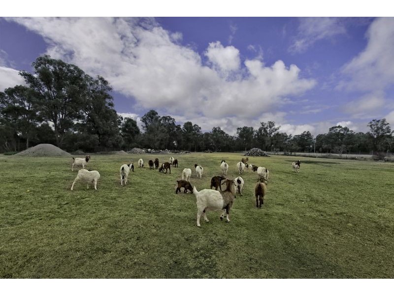 Shanes Park NSW 2747