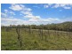 6121 Putty Road, Howes Valley NSW 2330