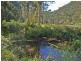 161 Popran Road, Lower Mangrove NSW 2250