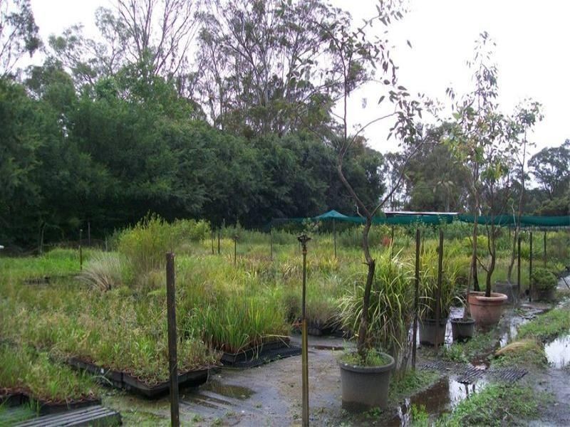 9 Bandon Road,, Vineyard NSW 2765