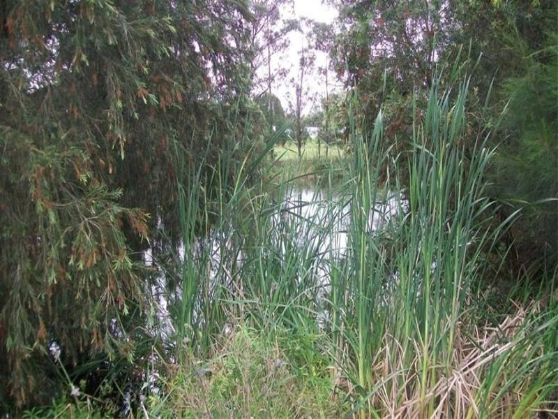 9 Bandon Road,, Vineyard NSW 2765