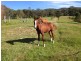 Kurrajong Hills NSW 2758