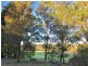 47 McMahons Road, Wilberforce NSW 2756