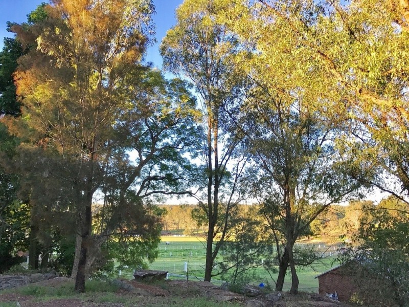 47 McMahons Road, Wilberforce NSW 2756