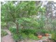 Colo Heights NSW 2756