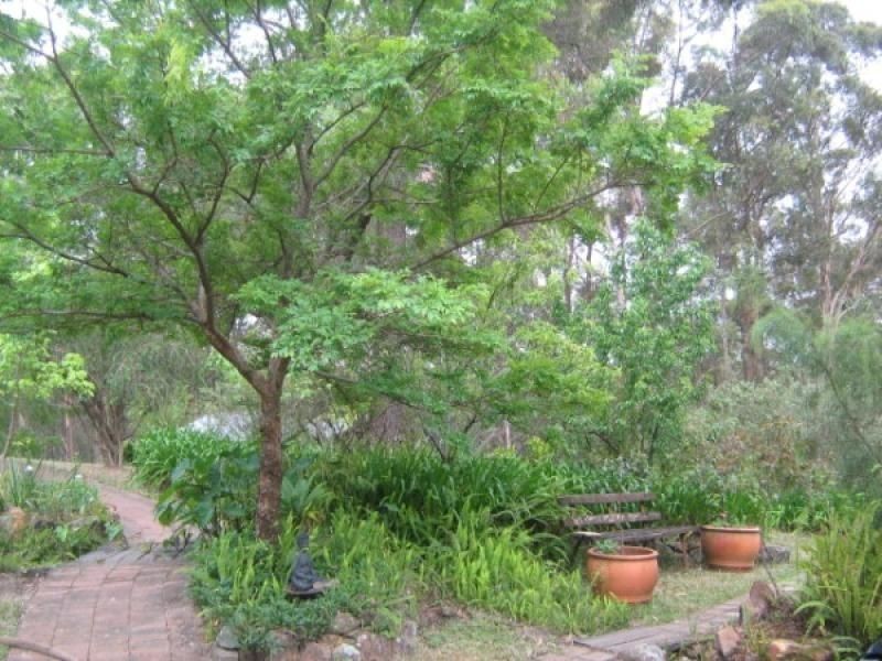 Colo Heights NSW 2756