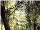 Lower Portland NSW 2756