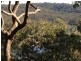 Lower Portland NSW 2756