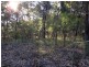 Lower Portland NSW 2756