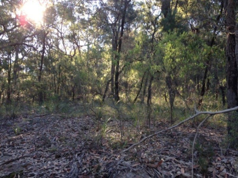 Lower Portland NSW 2756