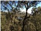 Lower Portland NSW 2756