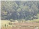 Upper Colo NSW 2756