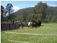 Upper Colo NSW 2756