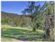 Lot 301, 1162 West Portland Road, Lower Portland NSW 2756