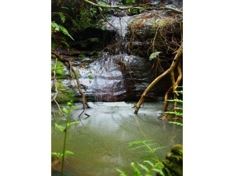 Lower Portland NSW 2756