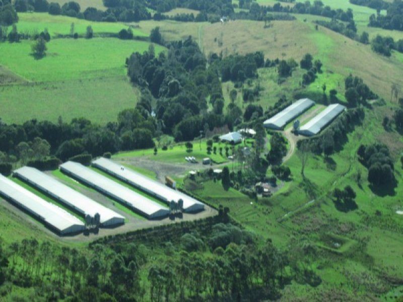 Corndale NSW 2480