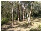 Kurrajong Heights NSW 2758