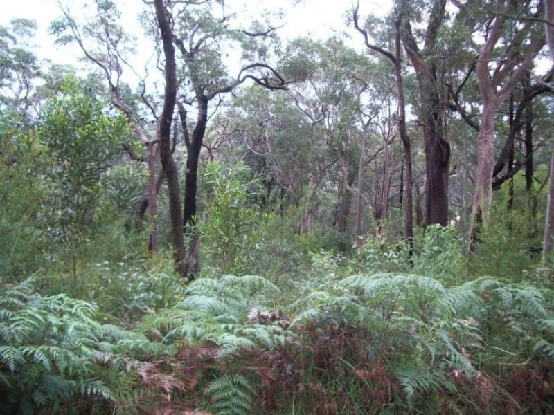 Kurrajong Heights NSW 2758